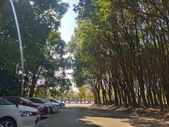 -胜华驾校·小猫学车(银都店)