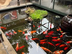 -野蔓果·山野菜(西湖景区·龙井茶田店)