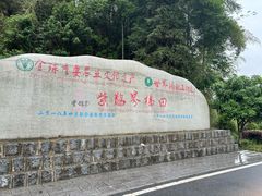 -紫鹊界梯田景区