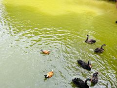 -曼听御花园