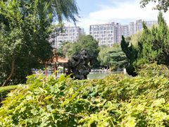 -西苑公园