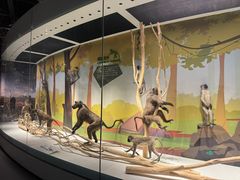 -陕西自然博物馆