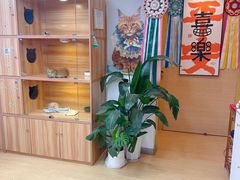 -猫十亿·布偶金渐层·曼基康矮脚猫舍(青年路店)