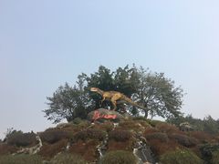 -自贡恐龙博物馆