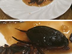 -寻味顺德·南记酒家·传统顺德菜·鱼生(广源路店)