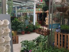 -龙大花卉苗木市场