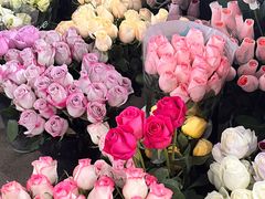 -桂林市花鸟市场