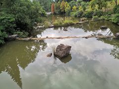-云溪植物园