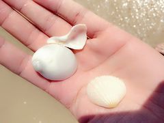 -西涌国际滨海旅游区