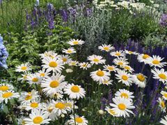 -东方体育中心(地铁站)