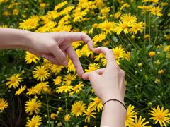 -光明小镇欢乐田园