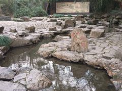 -兰亭风景区