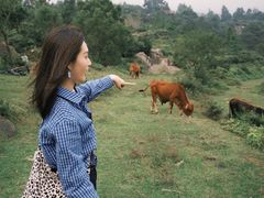 -大姆山草场
