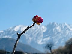 -太子岭滑雪场
