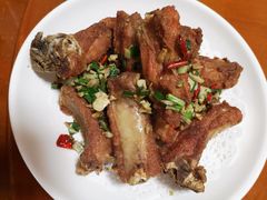 -全乐鱼馆·淳牌有机鱼直营店