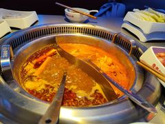 -季季红火锅(动壹店)