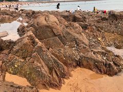 -青岛第二海水浴场