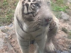 -济南野生动物世界