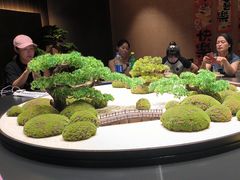 -阿露佳·舌尖上的安吉菜