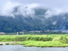 -腾冲北海湿地
