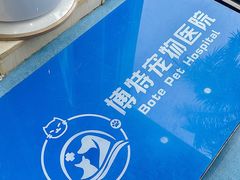 -博特宠物医院24h犬猫全科.骨科·异宠