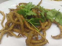-老三鱼仔店