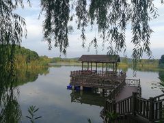 -上海市保健医疗中心(华东疗养院)