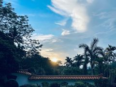 -深圳仙湖植物园