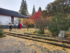 -南通博物苑-崇川人民公园