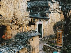 -杨家堂村
