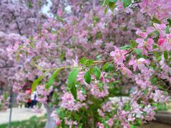 -元大都城垣遗址公园