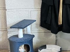 -逃脱反斗城沉浸剧情密室(北京路店)