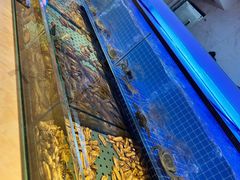 -冀粤香海鲜自助餐厅(西美五洲店)