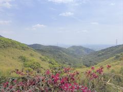 -东明山森林公园
