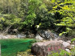 -黄山翡翠谷景区