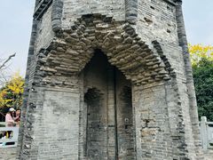 -上海佘山国家森林公园天马山园