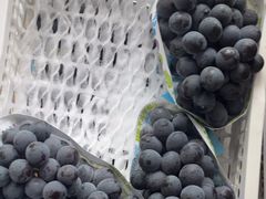 -马陆小张葡萄园农家乐