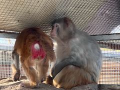 -北京市海淀外国语实验学校