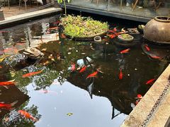 -野蔓果·山野菜(西湖景区·龙井茶田店)