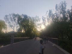 -郑州植物园