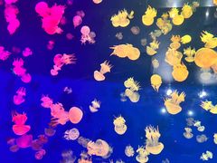 -成都浩海立方海洋公园