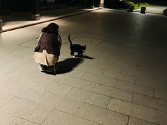 -雅达·阳羡溪山小镇中心