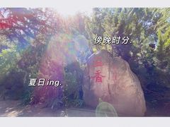 -西安市纺织公园