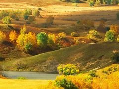 -东吴面馆(十全街店)