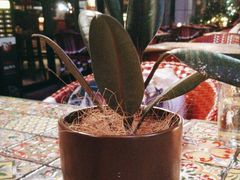 -BROWNSTONE布朗石西班牙餐厅(富城店)