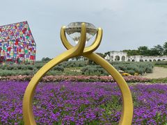 -紫颐香薰山谷景区