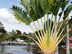 -三亚南山文化旅游区