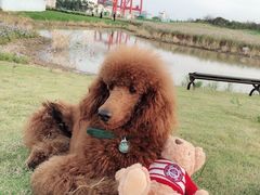 -上海海事大学(临港校区)