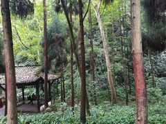 -青城山