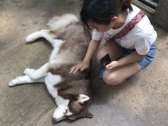 -TrueLove @ Neverland (Husky Cafe)
